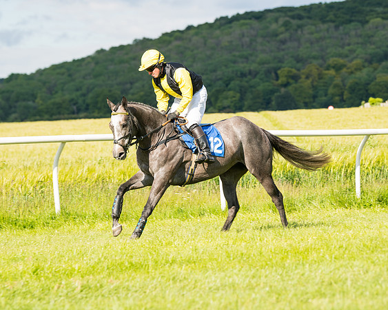 Race 6 - Open Maiden (79 of 227)