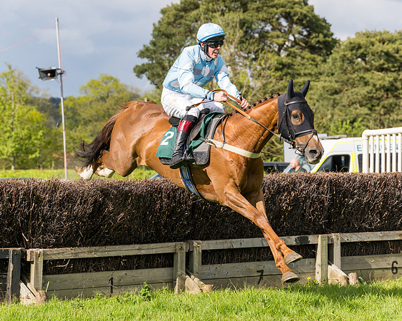 Race 5  - Maiden  (8 of 84)