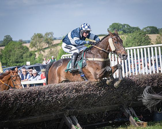 Race 5 - Restricted (85 of 116)