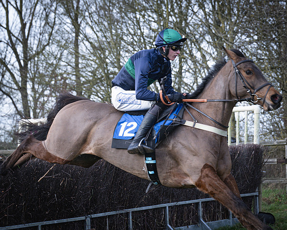 Race 2 - Maiden (92 of 145)