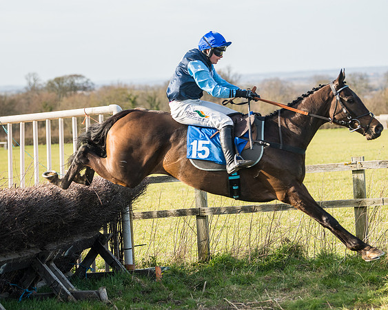 Race 5 - Restricted (71 of 146)