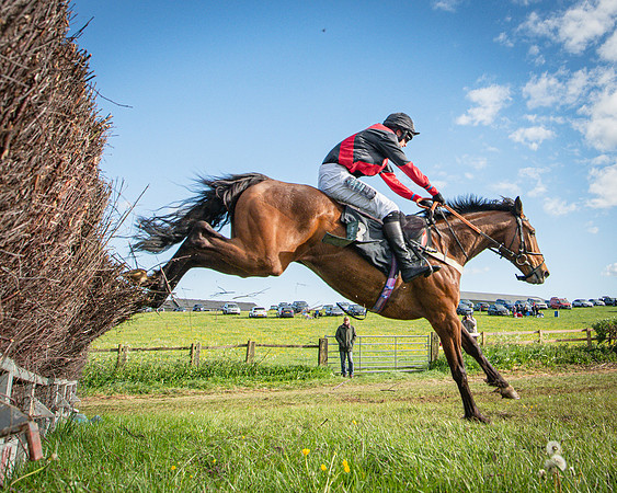 Race 7 - Walnut Hill PPORA club members maiden (60 of 104)