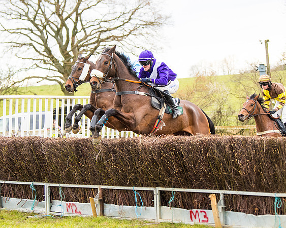 Race 6 - 6 year old and over Maiden 2m4f (12 of 62)