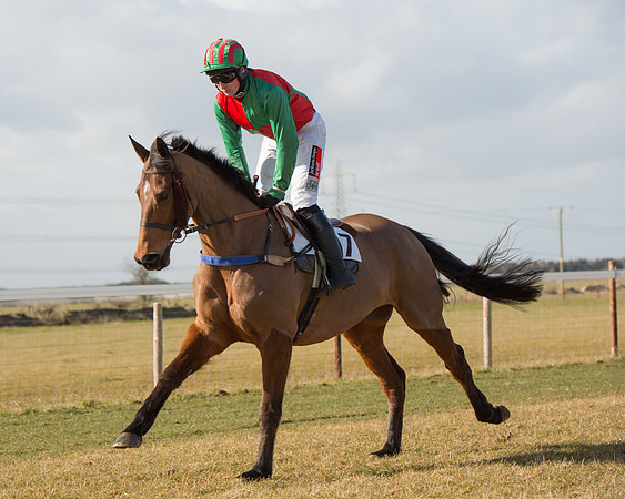 Race 1 - 4-5-6 Maiden (43 of 119).jpg