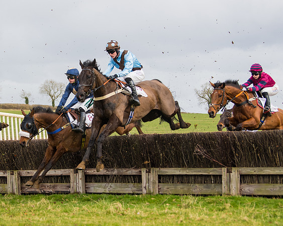 Race 2 - Open Maiden (60 of 128)