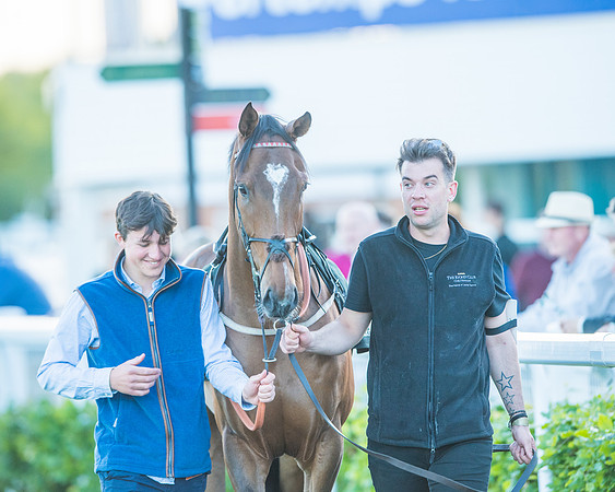 Race 7 - ITM Bumper (7 of 72)