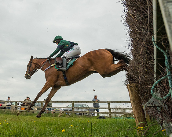 Race 2 - Jockey Club ROR veteran Horse (61 of 104)
