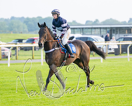 Race 5 - Peter Wright Handicap (3 of 117)
