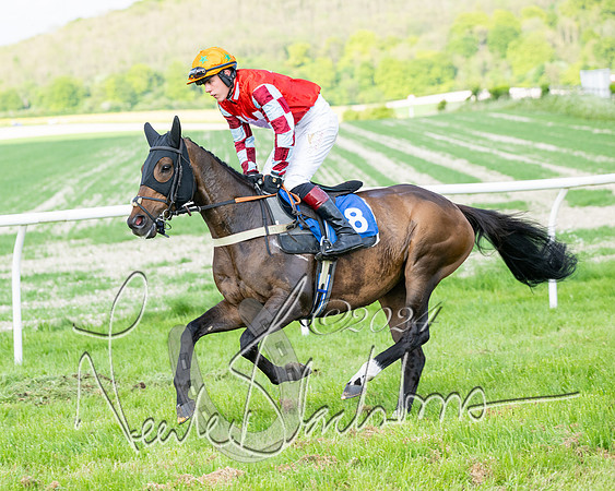 Race 6 - Intermediate (49 of 212)