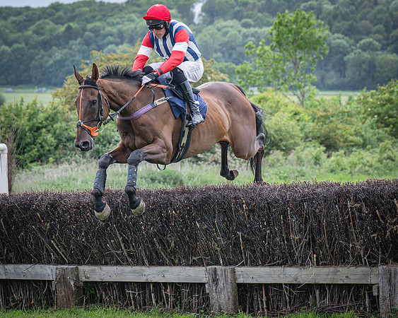 Race 6 - 2M4F Maiden (13 of 85)