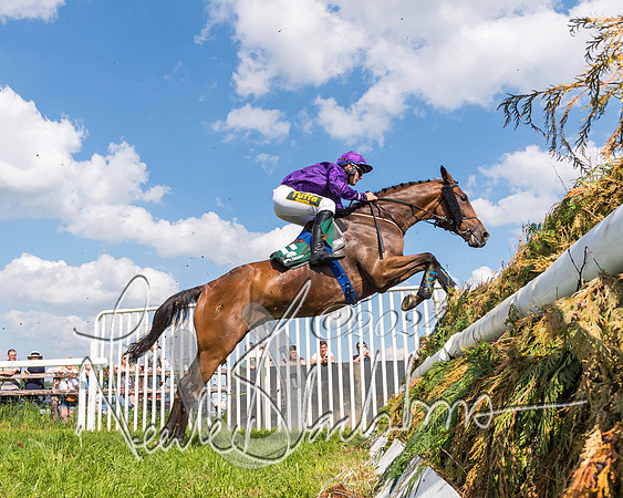 Race 4 - PPORA Novice Riders Final  (176 of 362)