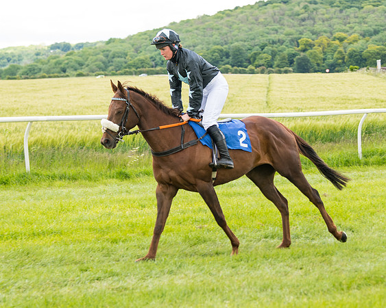 Race 1 - Owner Trainer Conditions  (50 of 133)