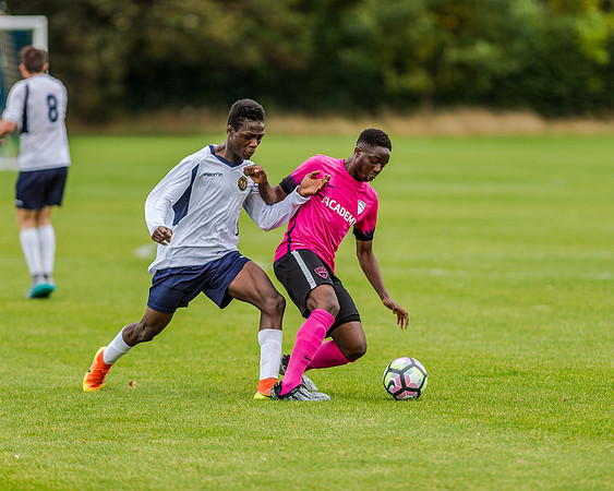 edsv 6-0 191016 (107 of 257)