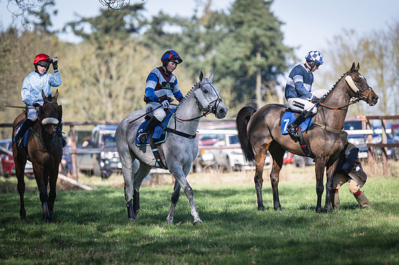 Race 1 - Veteran Horse (15 of 62)