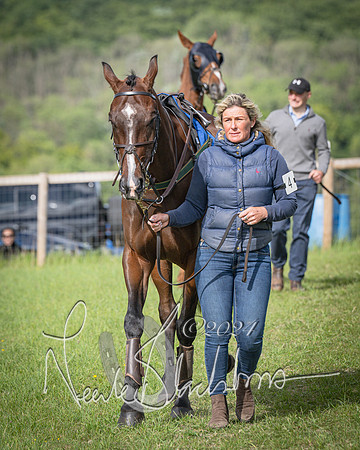 Race 6 - Thorn Plant Hire Maiden Race (2 of 129)