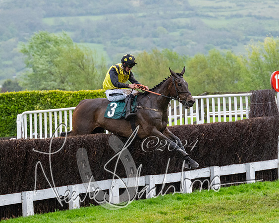 Race 5 - Mares Open  (61 of 129)