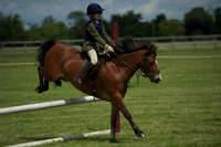 SOHS PC Summer Show at BCA 17th June 2012