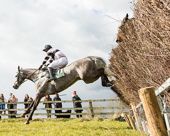 Race 5 - Restricted  (42 of 118)
