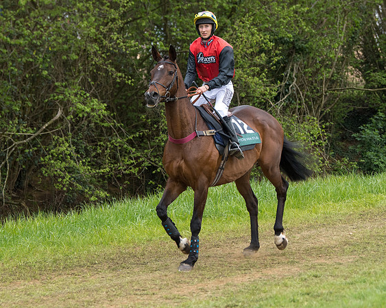 Race 6 - Restricted (7 of 173)