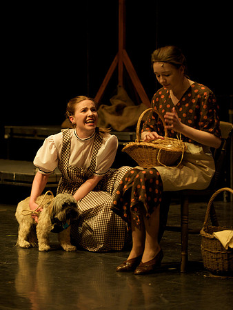 The Wizard of OZ -  1