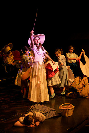 The Wizard of OZ -  201