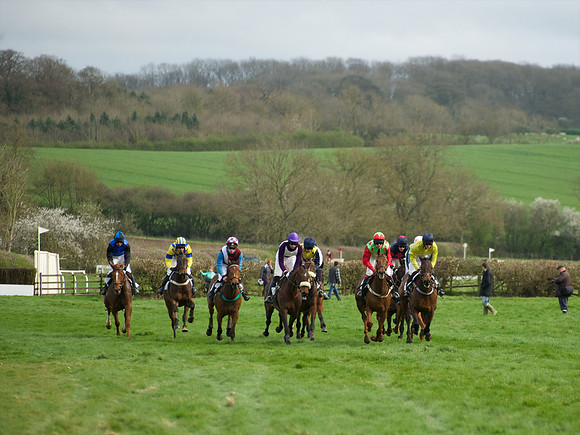 Race 5 - Restricted  47