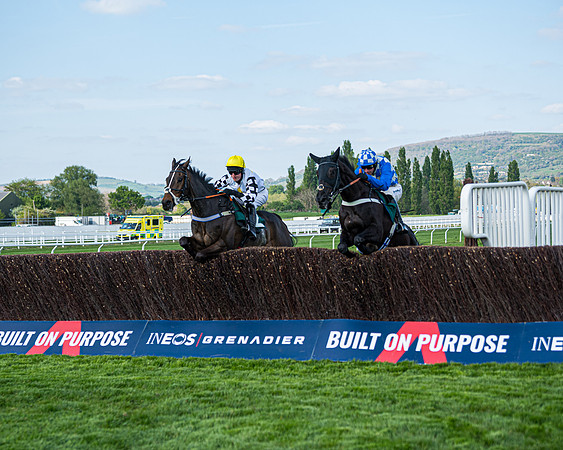 Race 1 - The open Hunter chase  (51 of 95)