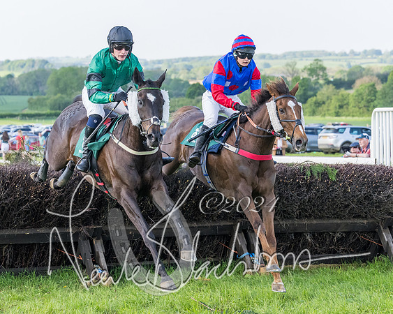 Race 7 - Veteran Horse (78 of 246)