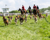 Race 4 - PPORA Novice Riders Final  (13 of 362)