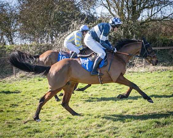 Race 2 - Restricted (16 of 63)