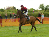 Kimblewick at Kimble Ladies Open