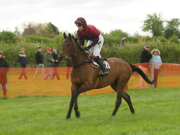Kimblewick at Kimble Ladies Open