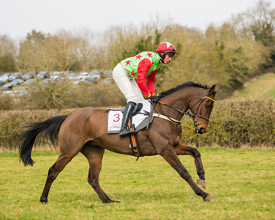 Race 2 - Open Maiden (18 of 128)