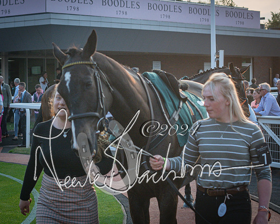 Race 6 - The Brooklands watches Golden Miller chronograph open hunter’s steeplechase 4m 97y (38 of 396)