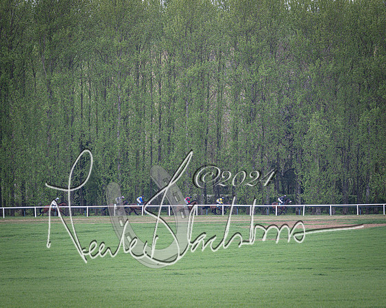 Race 3 - 5 years old and Over Maiden Race (34 of 130)