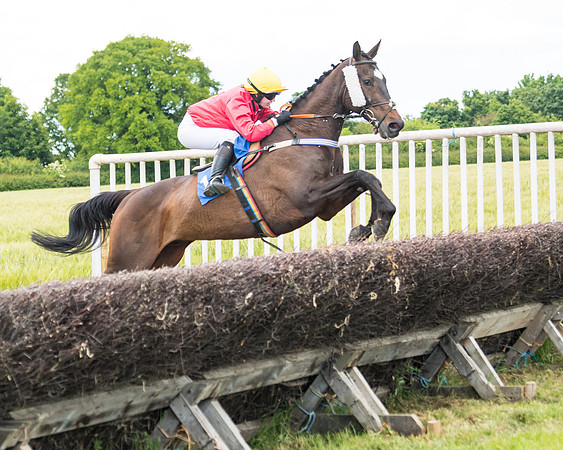 Race 5 - Restricted  (67 of 136)