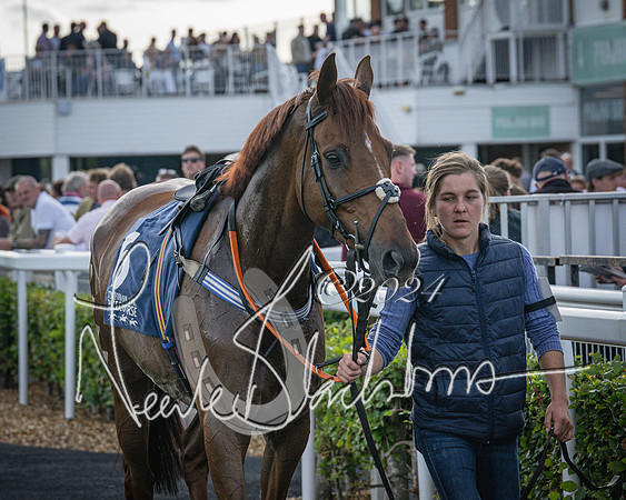 Race 3 - The pointtopoint.co.uk champion novices’ Hunter Chase (11 of 140)