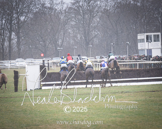 Race 2 - Restricted (11 of 70)-Enhanced-NR