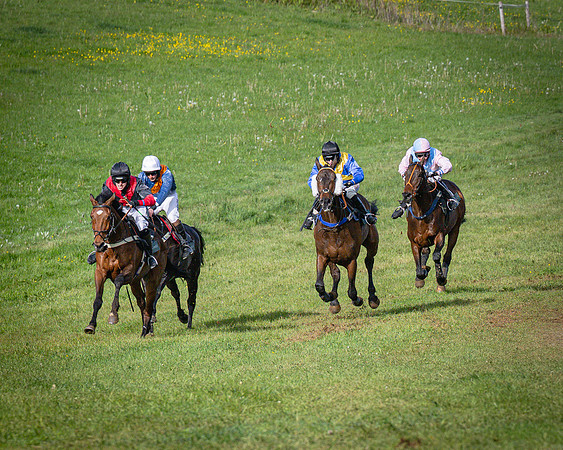 Race 7 - Walnut Hill PPORA club members maiden (57 of 104)