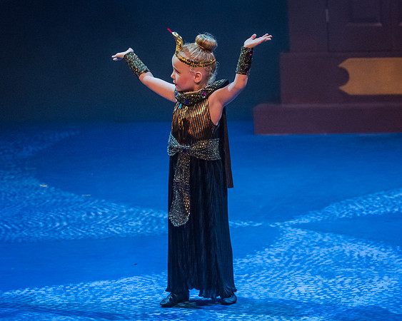 11 - Ancient Eqyptians (18 of 100)