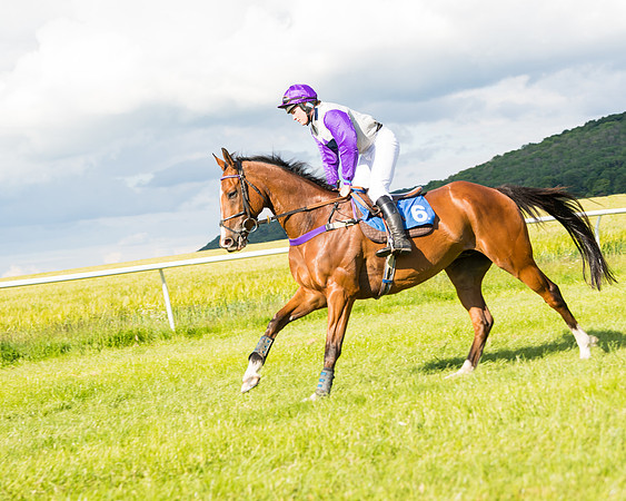 Race 6 - Open Maiden (61 of 227)