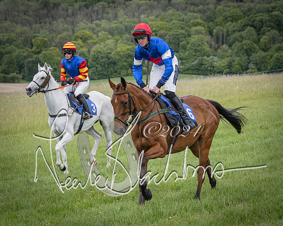 Race 2 - PPORA Members conditions race for Novice riders (43 of 127)