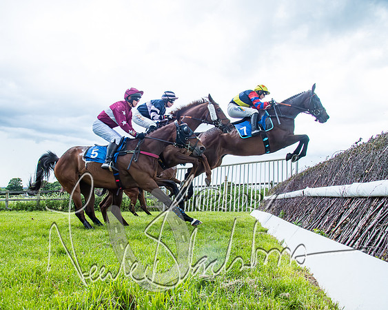 Race 3 - Conditions (200 of 367)