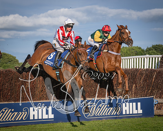 Race 4 - Peretemps Stratford Foxhunters (96 of 168)
