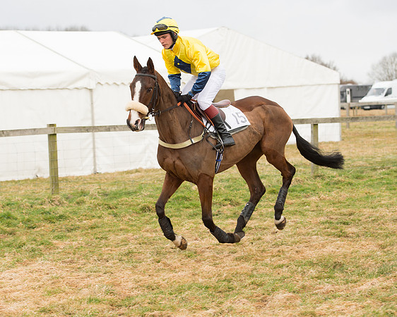 Race 6 - Open Maiden (25 of 100).jpg