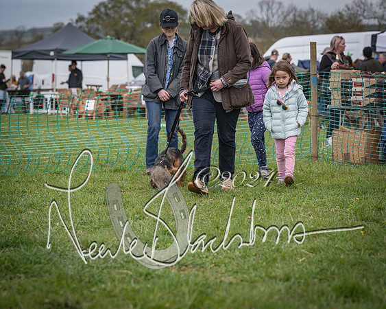 Bicester - Dog Show (93 of 106)