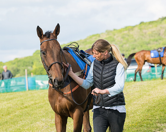 Race 6 - Open Maiden (29 of 227)