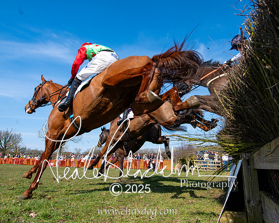 Race 1 - Maiden (118 of 188)