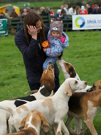 Pytchley - Hounds and friends 14