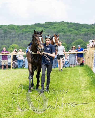 Race 3 - Ladies Open  (6 of 133)